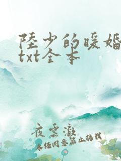 陆少的暖婚新妻txt全本