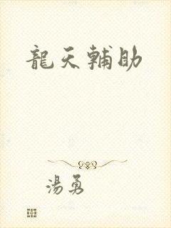 龙天辅助