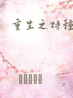 重生之特种军嫂