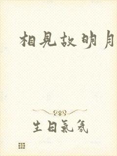 相见故明月
