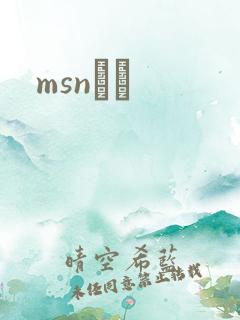 msnС˵