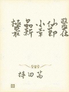 极品小仙医张昊最新章节在线阅读