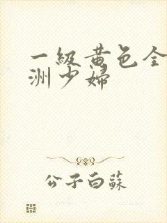 一级黄色全黄亚洲少妇