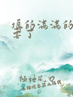 填的满满的 不要了