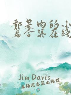 都是肉的小说短篇合集在线阅读