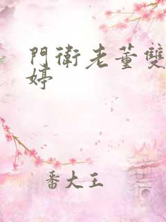 门卫老董双飞陈婷