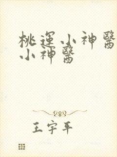 桃运小神医乡村小神医