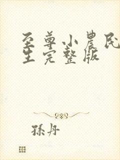至尊小农民王木生完整版