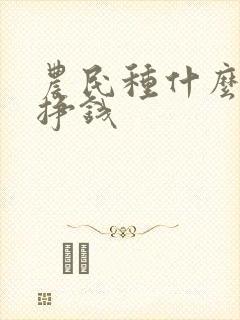 农民种什么庄稼挣钱