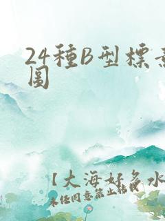24种B型标意图