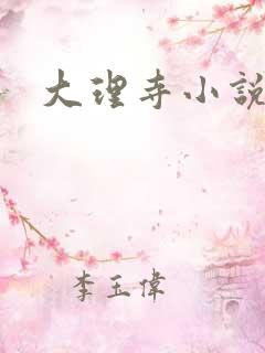 大理寺小说