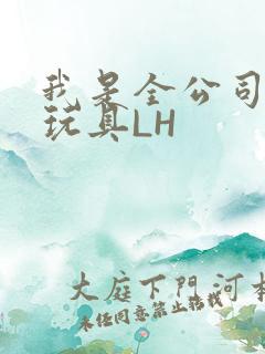 我是全公司发泄玩具LH