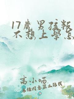 17岁男孩叛逆不想上学怎么办