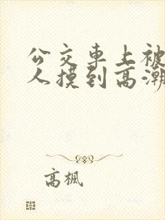 公交车上被陌生人摸到高潮