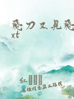 飞刀又见飞刀txt