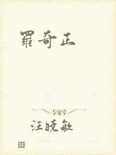 罗奇正