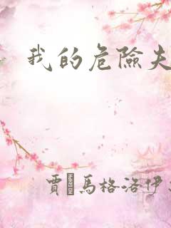 我的危险夫人