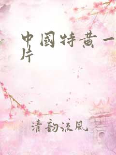 中国特黄一级大片