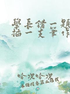 学长错一题往里插一支笔作文