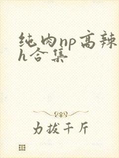 纯肉np高辣文h合集