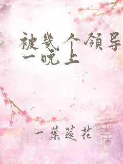 被几个领导玩弄一晚上