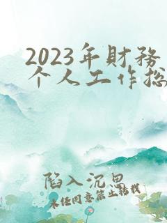 2023年财务个人工作总结