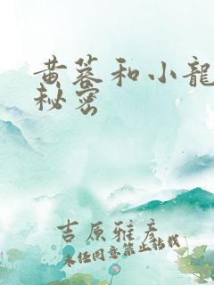 黄蓉和小龙女的秘密