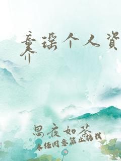 童瑶个人资料简介