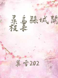 寻乌县城关小学校长