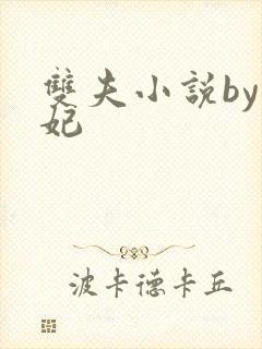 双夫小说by黛妃
