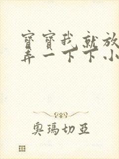 宝宝我就放进去弄一下下小说