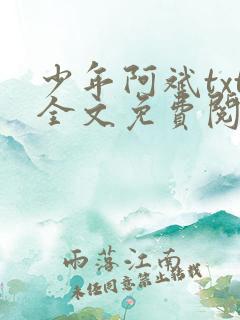 少年阿斌txt全文免费阅读小说