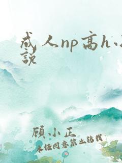 成人np高h小说