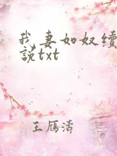 我妻如奴续写小说txt
