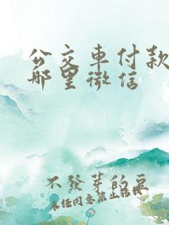公交车付款码在哪里微信