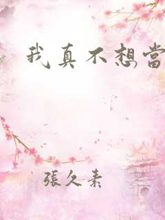 我真不想当圣师