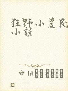 狂野小农民免费小说