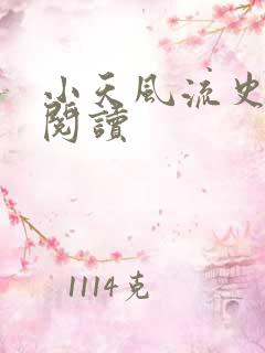 小天风流史小说阅读