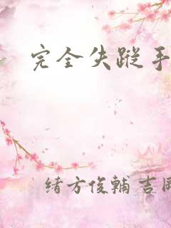 完全失踪手册