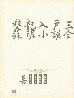 双龙入户三人行苏玥小说全文阅读