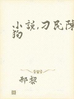小说,刁民陈二狗