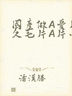 国产做A爱片久久毛片A片小说