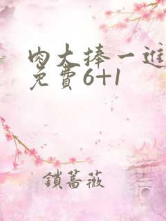 肉大捧一进一出免费6+1
