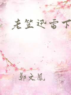 老笠迅雷下载