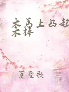 木马上凸起电动木棒