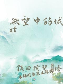 欲望中的城市txt