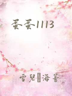 蛋蛋1113