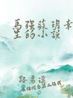马强苏玥幸福人生的小说