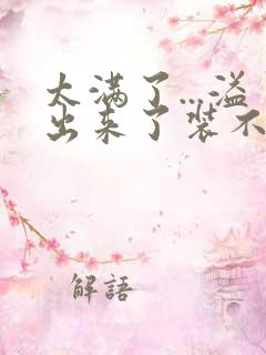 太满了...溢出来了装不下了