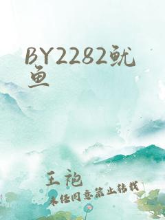 BY2282鱿鱼